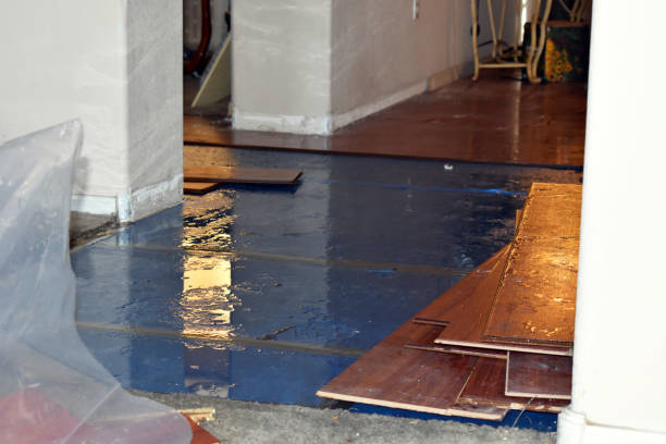Professional Water Damage Restoration technician working in Volcano, HI